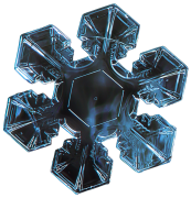 flocon-de-neige 29 liste